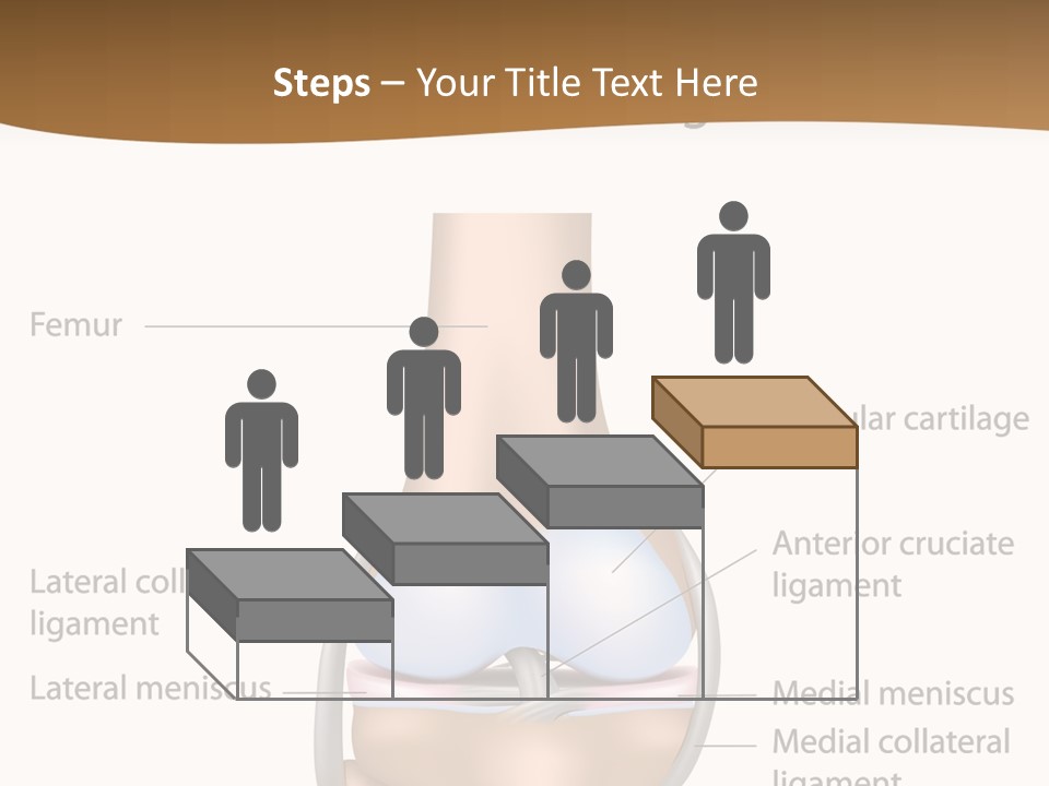 Normal Diagram Movement PowerPoint Template