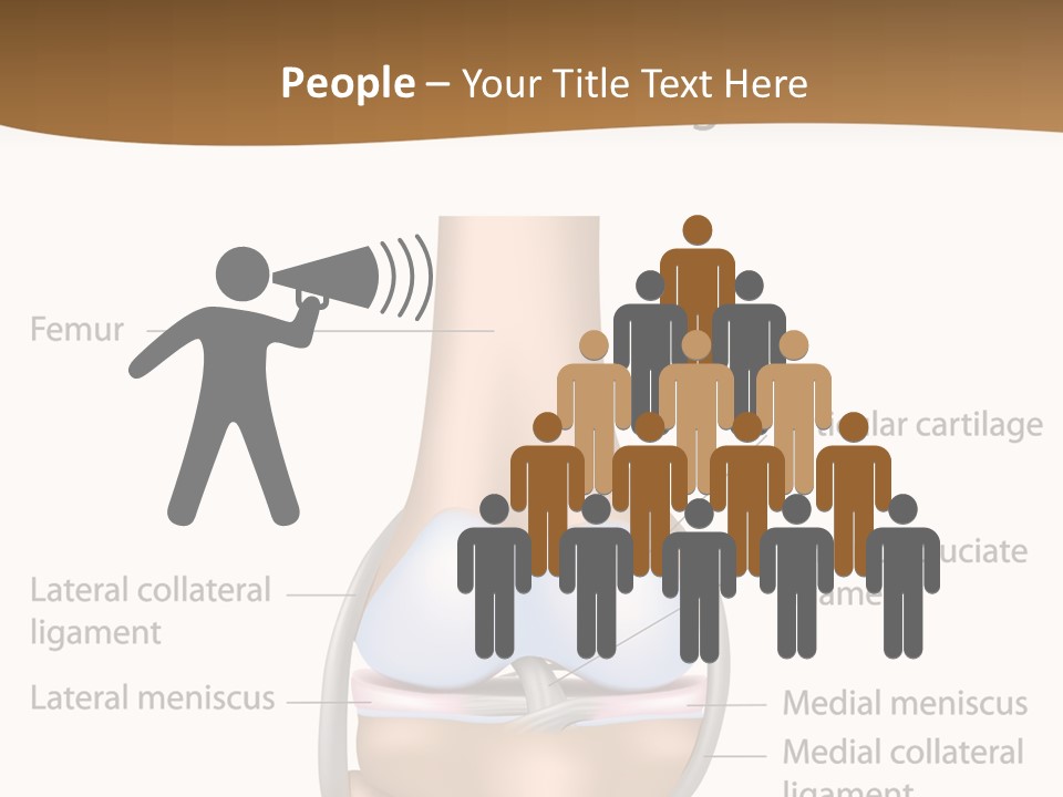 Normal Diagram Movement PowerPoint Template