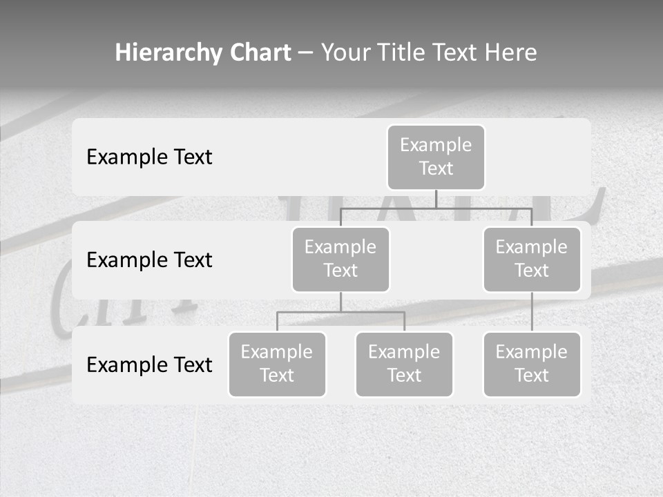 Local Government Town Mayoral PowerPoint Template