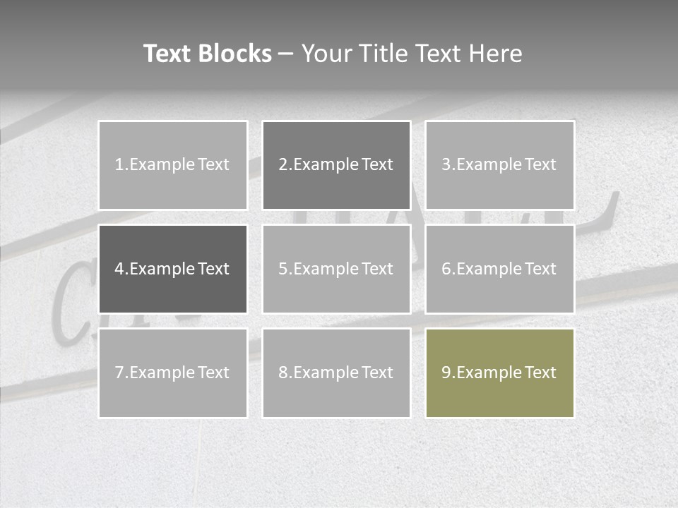 Local Government Town Mayoral PowerPoint Template
