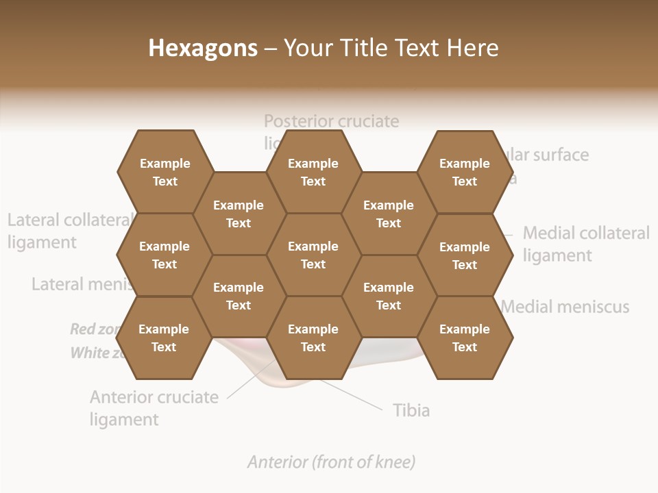 Bone Orthopedic Movement PowerPoint Template
