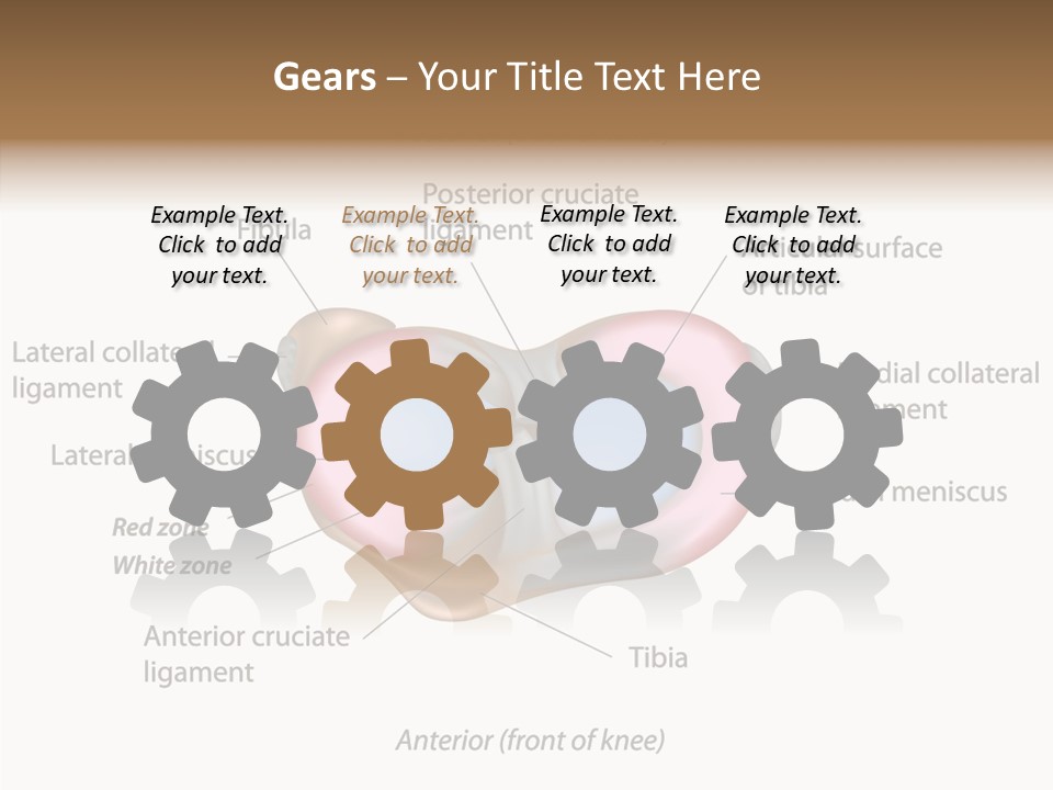 Bone Orthopedic Movement PowerPoint Template