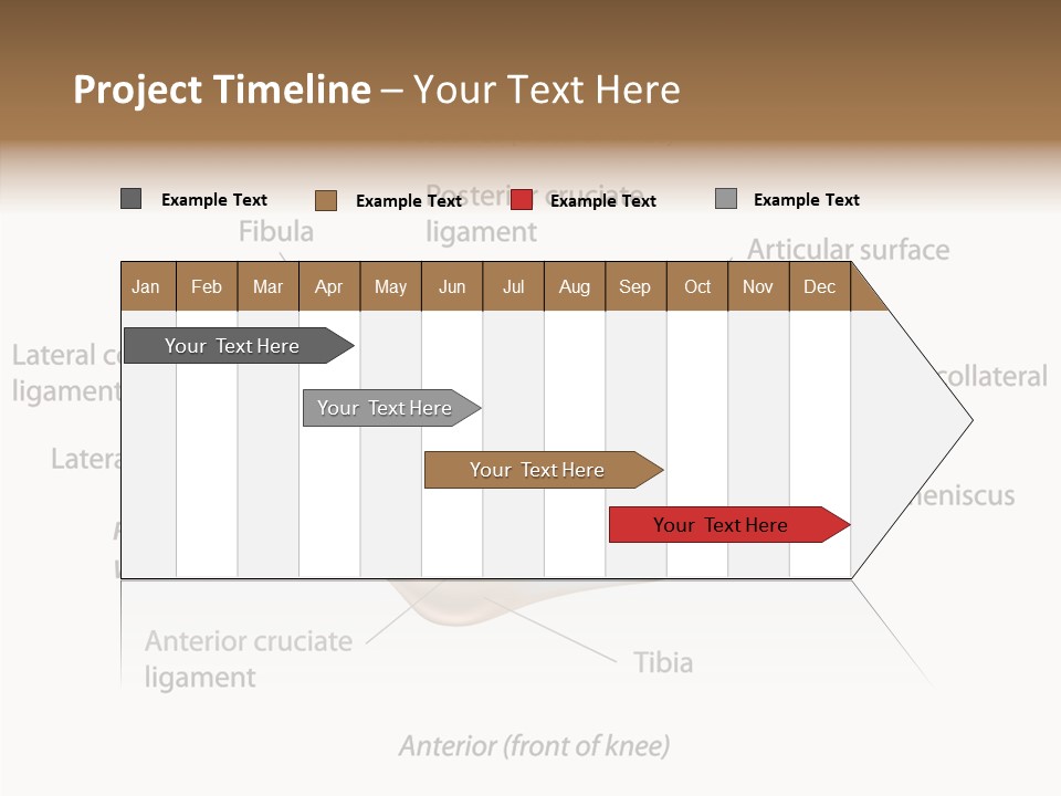 Bone Orthopedic Movement PowerPoint Template