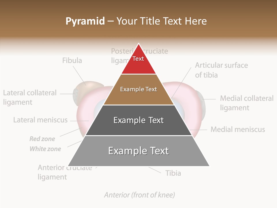Bone Orthopedic Movement PowerPoint Template