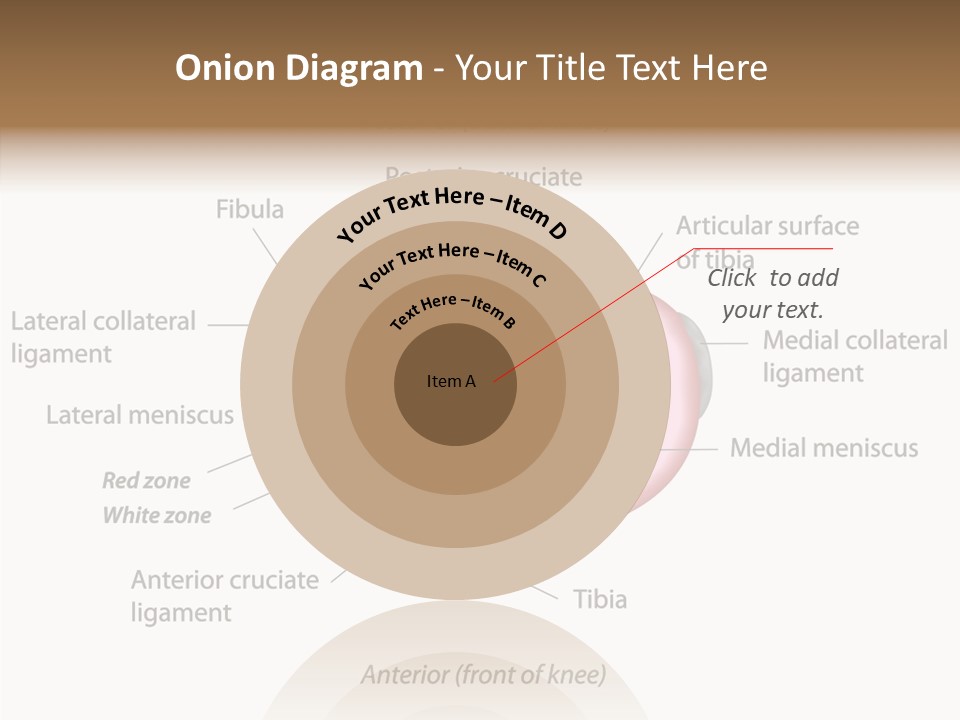 Bone Orthopedic Movement PowerPoint Template