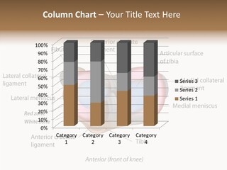 Bone Orthopedic Movement PowerPoint Template