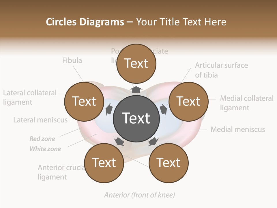 Bone Orthopedic Movement PowerPoint Template