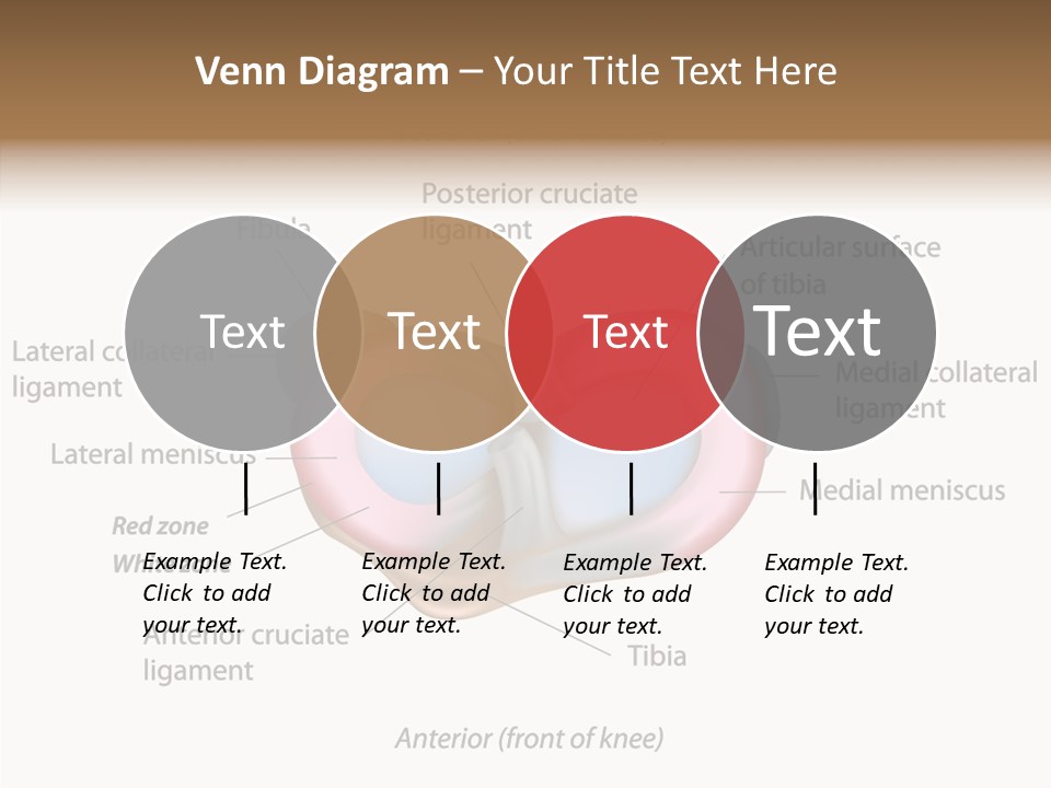 Bone Orthopedic Movement PowerPoint Template