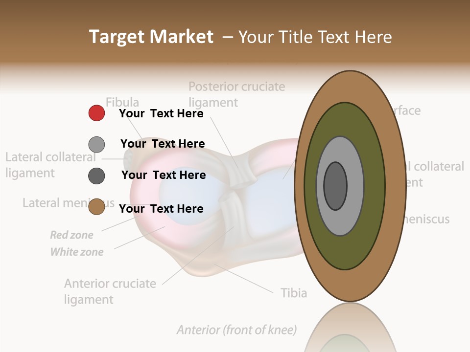 Bone Orthopedic Movement PowerPoint Template
