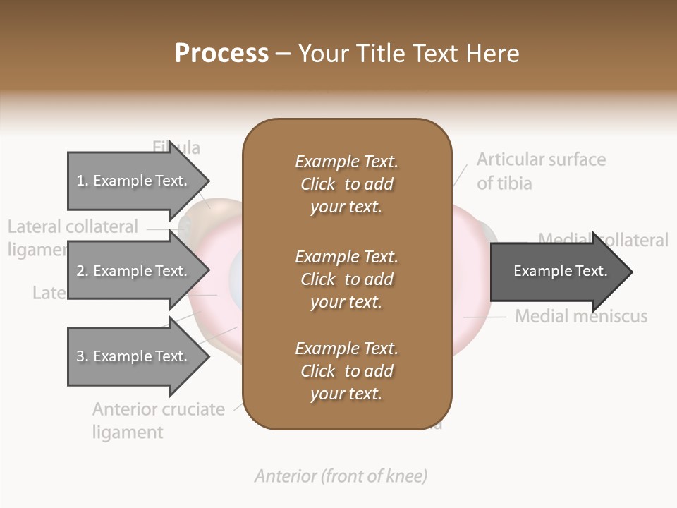 Bone Orthopedic Movement PowerPoint Template