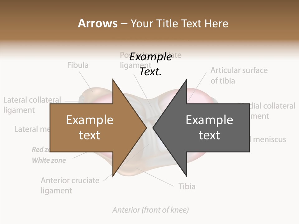 Bone Orthopedic Movement PowerPoint Template