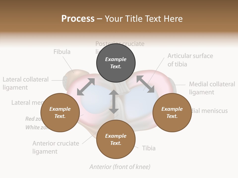 Bone Orthopedic Movement PowerPoint Template