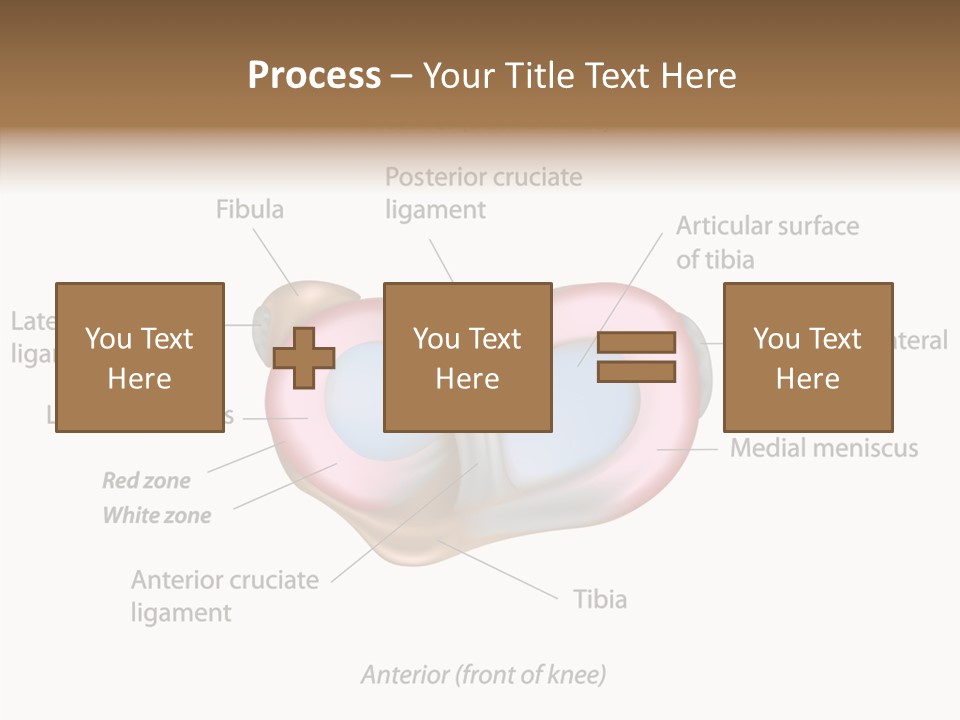 Bone Orthopedic Movement PowerPoint Template