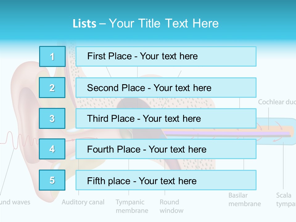 Illustration Scala Vestibuli Hearing PowerPoint Template