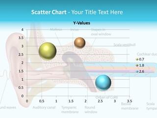 Illustration Scala Vestibuli Hearing PowerPoint Template