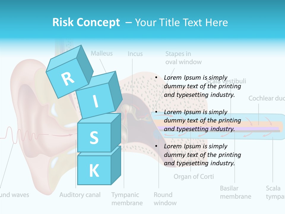 Illustration Scala Vestibuli Hearing PowerPoint Template