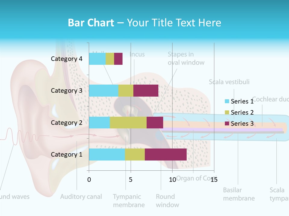 Illustration Scala Vestibuli Hearing PowerPoint Template