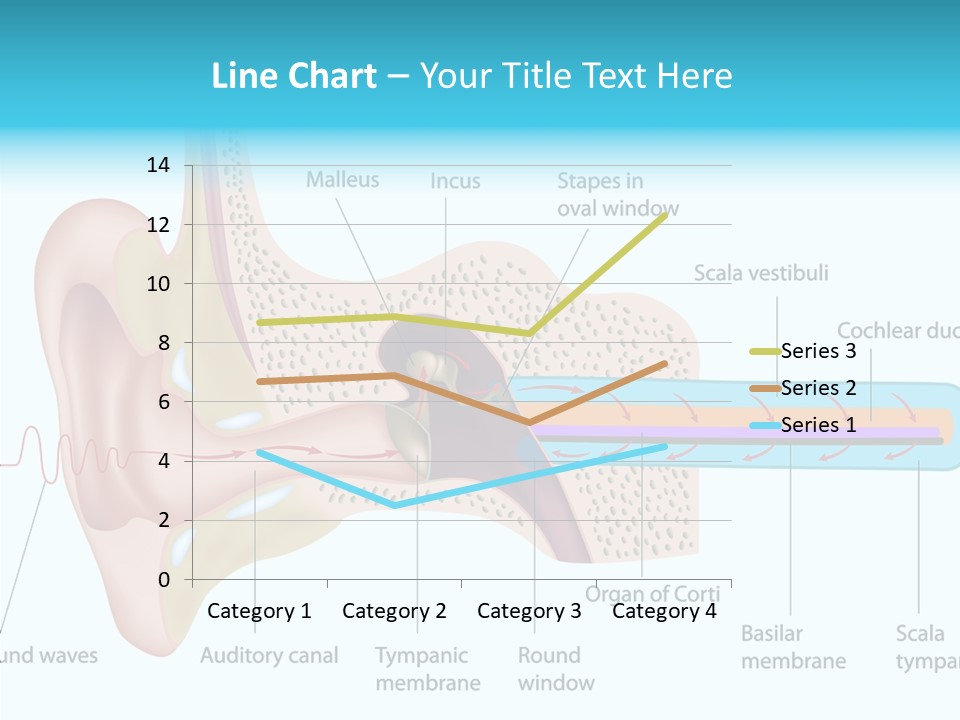 Illustration Scala Vestibuli Hearing PowerPoint Template
