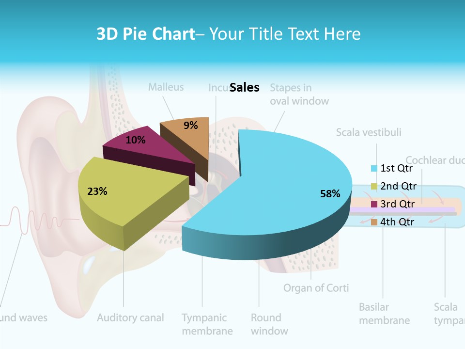 Illustration Scala Vestibuli Hearing PowerPoint Template