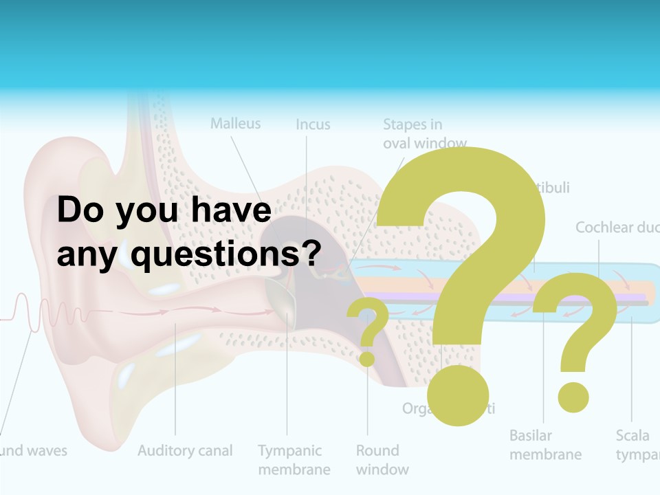 Illustration Scala Vestibuli Hearing PowerPoint Template