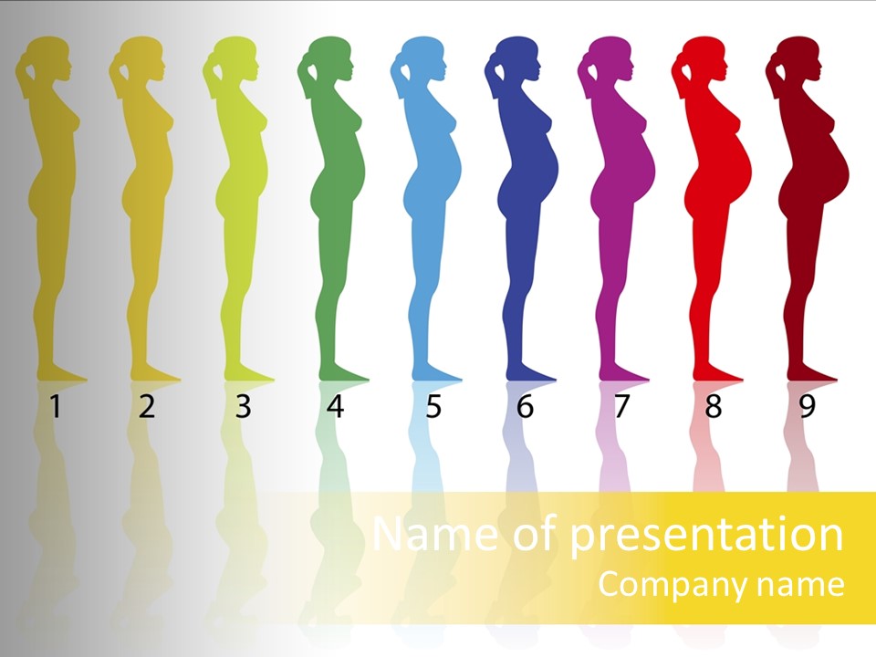 Silhouette Beautiful Figure PowerPoint Template