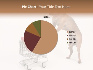Small Cart Face PowerPoint Template