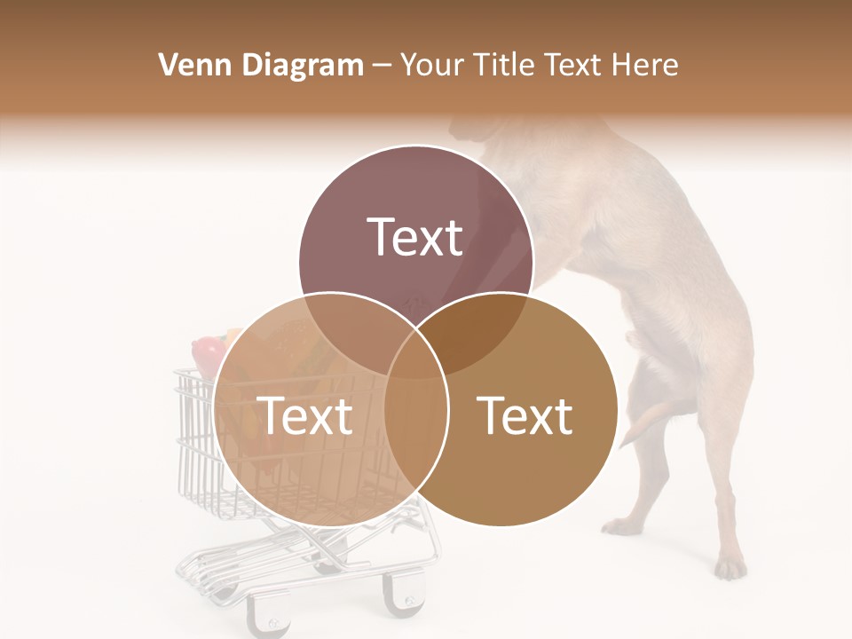 Small Cart Face PowerPoint Template