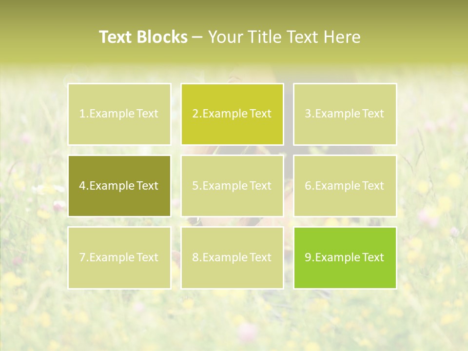 Space Head Idyllic PowerPoint Template
