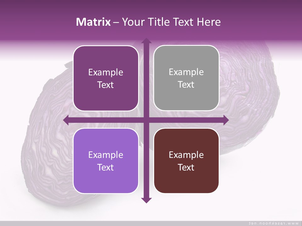 Two Purple Cabbages With A White Background PowerPoint Template