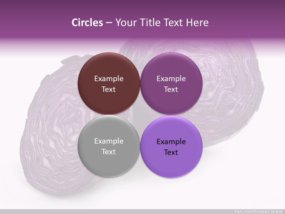 Two Purple Cabbages With A White Background PowerPoint Template
