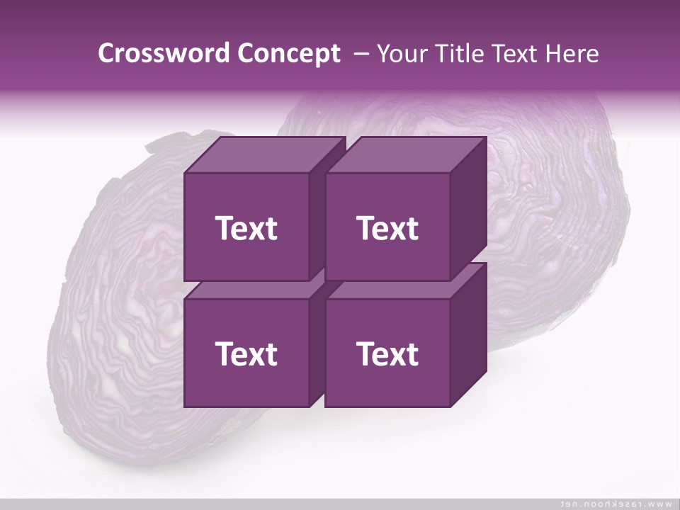 Two Purple Cabbages With A White Background PowerPoint Template