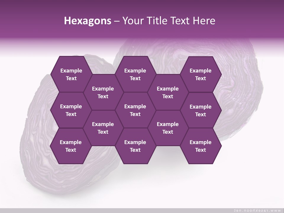 Two Purple Cabbages With A White Background PowerPoint Template