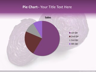 Two Purple Cabbages With A White Background PowerPoint Template