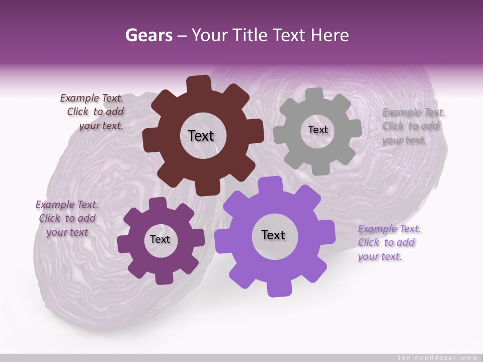 Two Purple Cabbages With A White Background PowerPoint Template