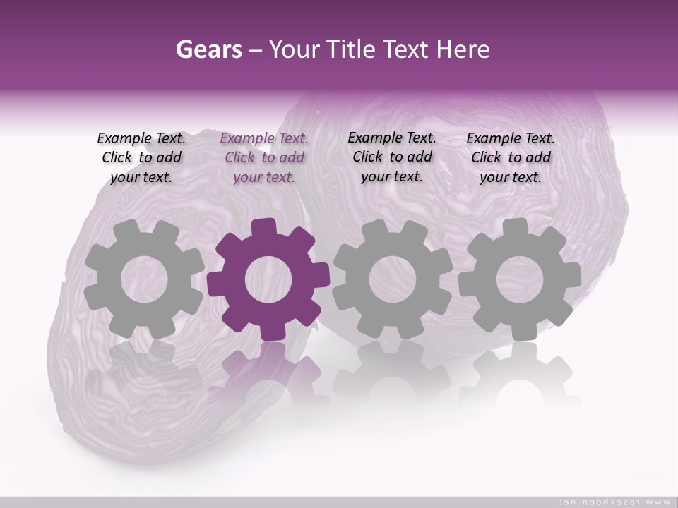 Two Purple Cabbages With A White Background PowerPoint Template