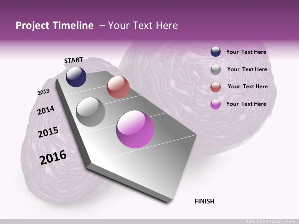 Two Purple Cabbages With A White Background PowerPoint Template