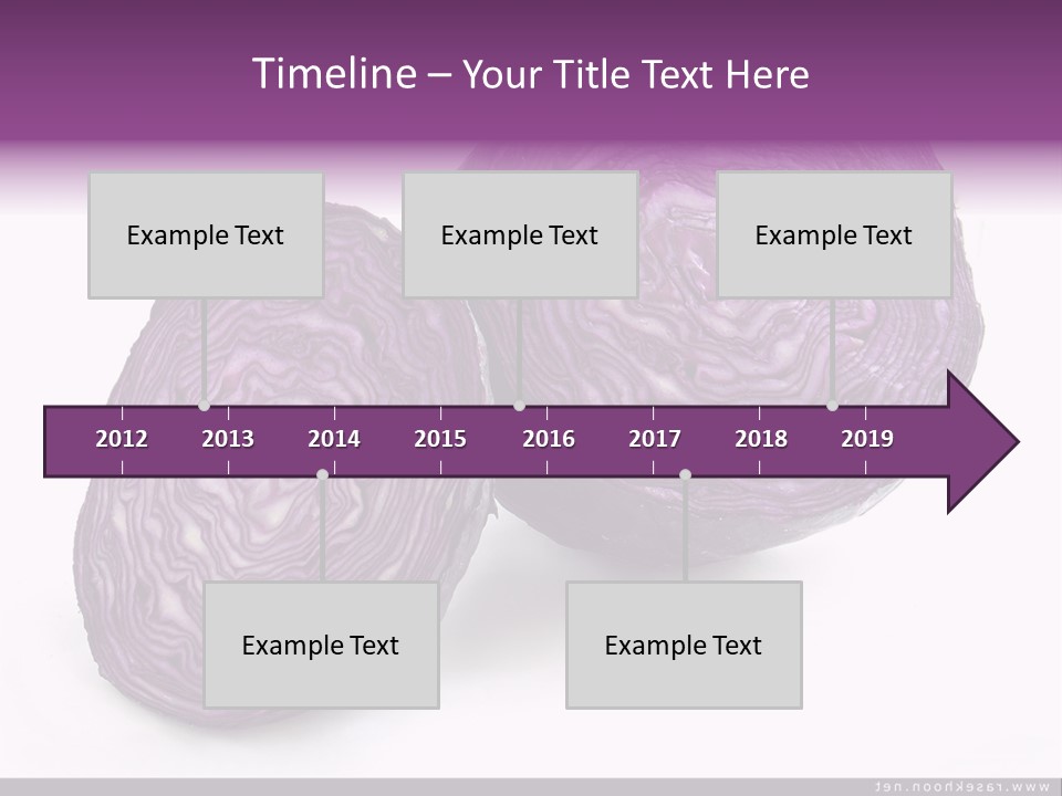 Two Purple Cabbages With A White Background PowerPoint Template