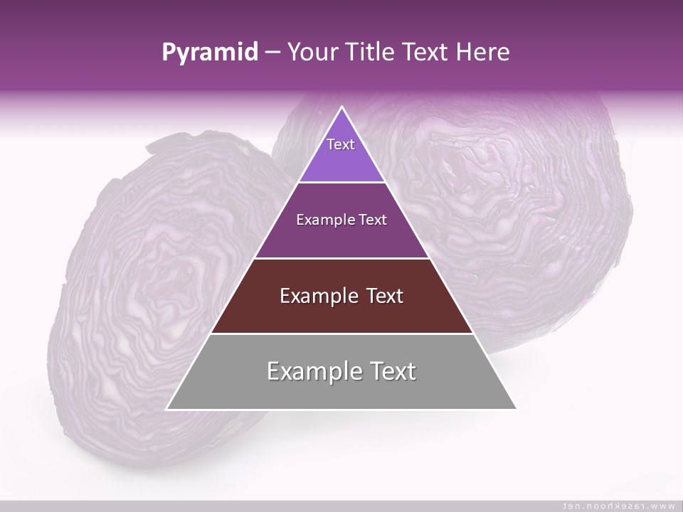 Two Purple Cabbages With A White Background PowerPoint Template