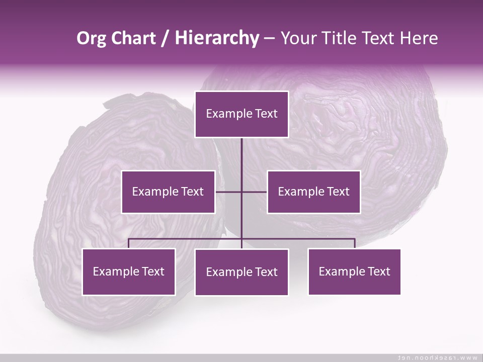 Two Purple Cabbages With A White Background PowerPoint Template