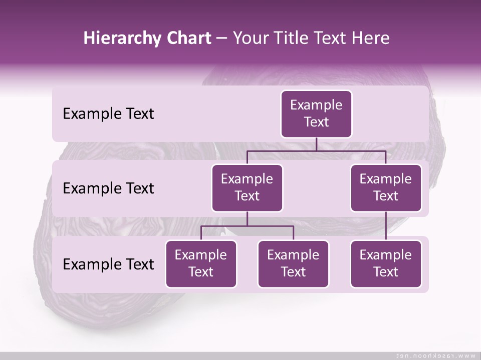 Two Purple Cabbages With A White Background PowerPoint Template
