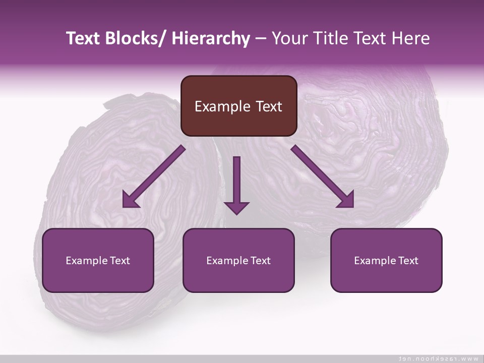 Two Purple Cabbages With A White Background PowerPoint Template