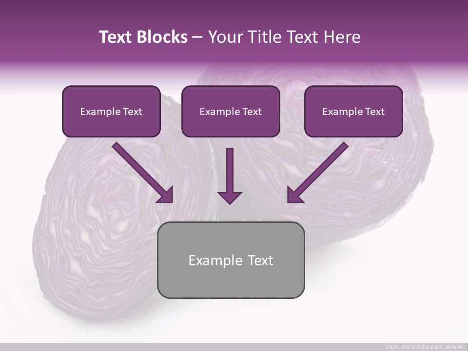 Two Purple Cabbages With A White Background PowerPoint Template