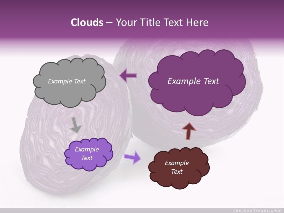 Two Purple Cabbages With A White Background PowerPoint Template