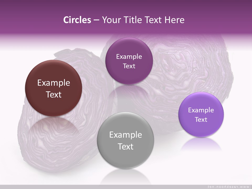 Two Purple Cabbages With A White Background PowerPoint Template