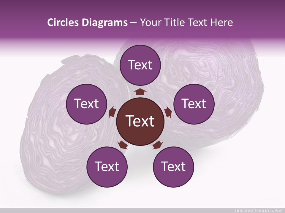 Two Purple Cabbages With A White Background PowerPoint Template