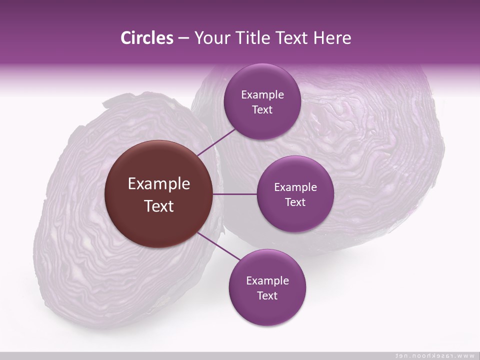 Two Purple Cabbages With A White Background PowerPoint Template