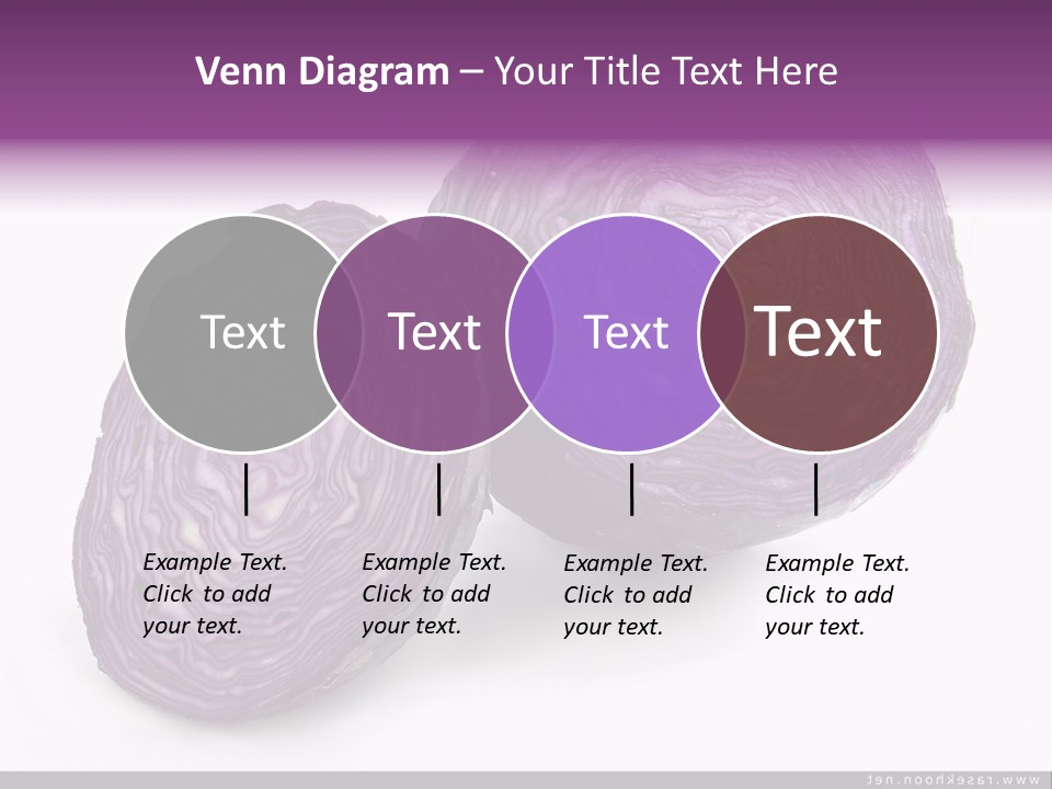 Two Purple Cabbages With A White Background PowerPoint Template