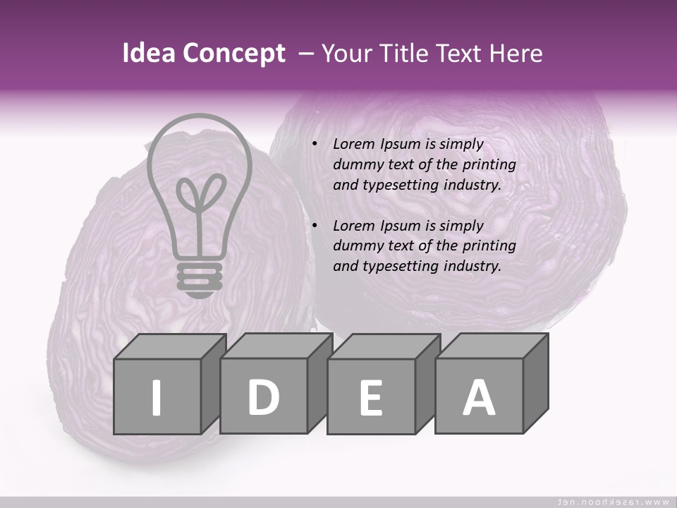 Two Purple Cabbages With A White Background PowerPoint Template