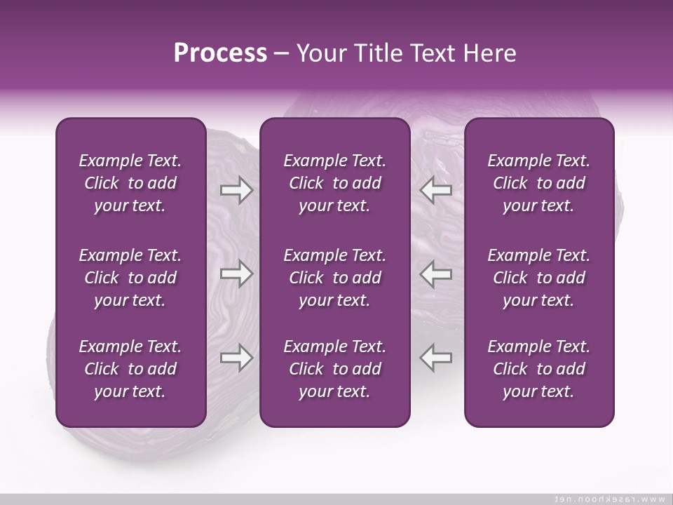 Two Purple Cabbages With A White Background PowerPoint Template