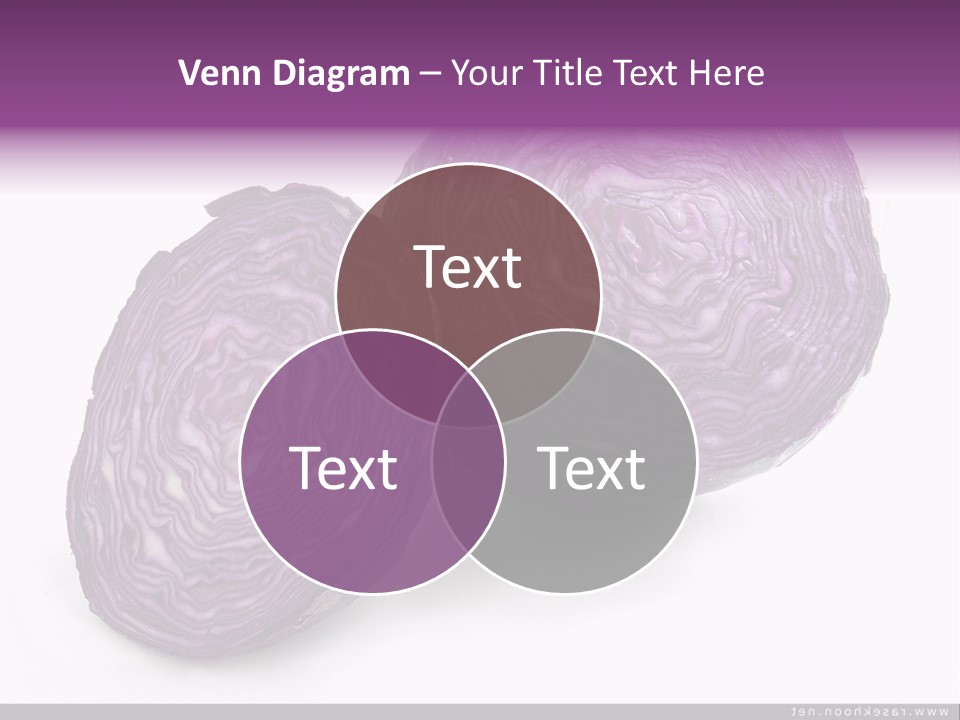 Two Purple Cabbages With A White Background PowerPoint Template